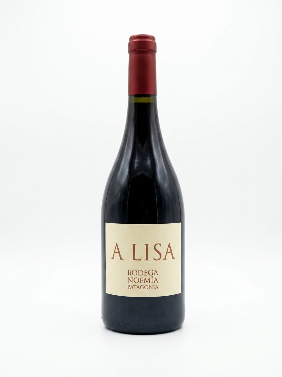 Bodega Noemia A Lisa Malbec Patagonia Argentina