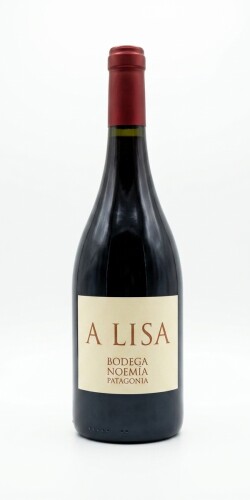 Bodega Noemia A Lisa Malbec Patagonia Argentina